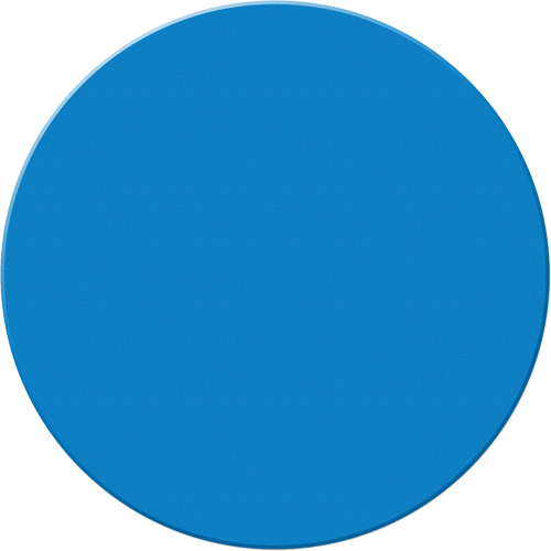 Marqueurs all&eacute;g&eacute;e/5S Armor Stripe, Cercle, 6" lo x 6" la, Bleu, Plastique Cam Industrial