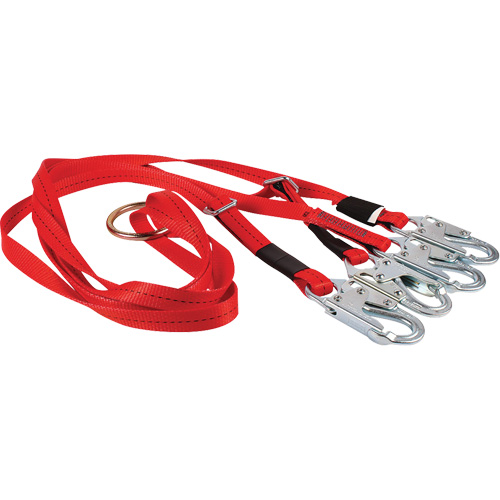 Dynamic Bridle for Wire Basket Stretcher Cam Industrial