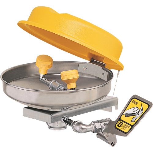 Poste de douche oculaire, Installation Montage mural, Bol Acier inoxydable Cam Industrial