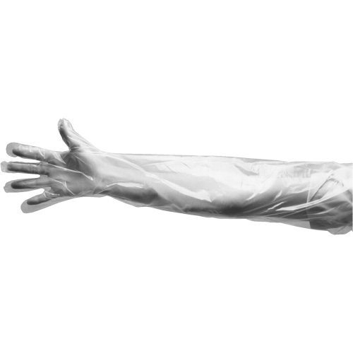 Disposable Gloves, Large, Polyethylene, 9-mil, Powdered, Clear Cam Industrial
