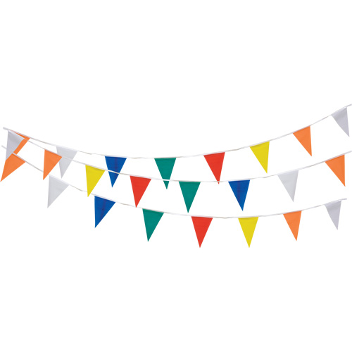 Pennant String, 60' L, Multicolour Cam Industrial