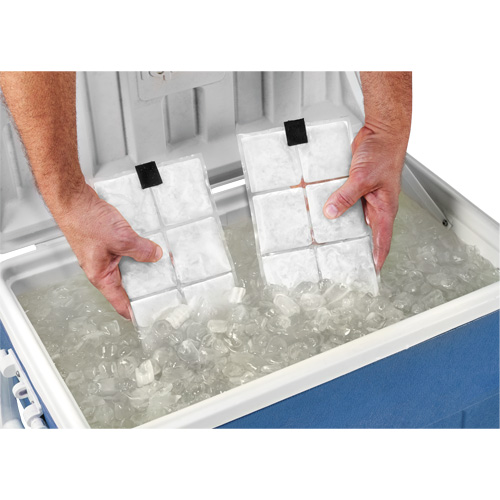 Sachets pour veste de refroidissement &agrave; changement de phase 6260 Chill-Its Cam Industrial