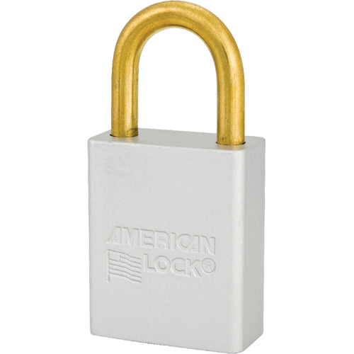 Cadenas de s&eacute;curit&eacute; American Lock, Transparent, Cl&eacute;s identiques, Aluminium, Largeur de 1-1/2" Cam Industrial