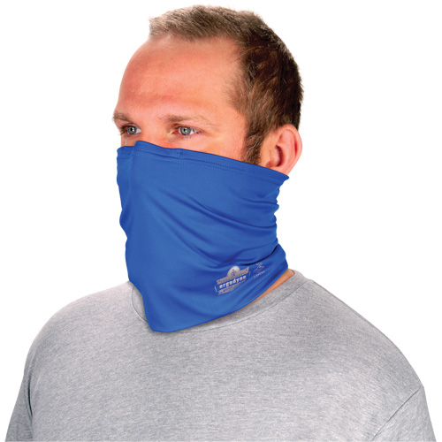 Chill-Its 6489 2-Layer Cooling Multi-Band, Blue Cam Industrial