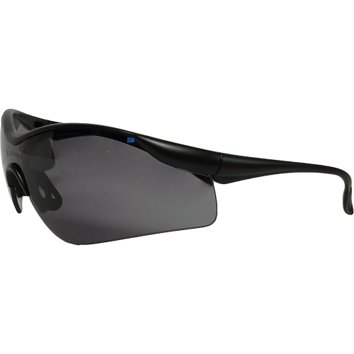 Miranda Safety Glasses, Grey Lens, Anti-Fog/Anti-Scratch, Meets/Exceeds CSA Z94.3 Cam Industrial