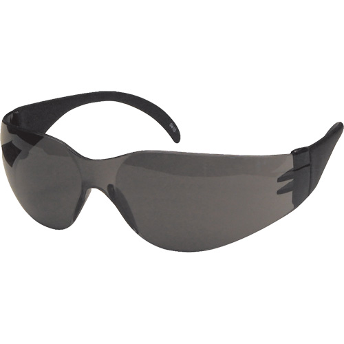 Lunettes de s&eacute;curit&eacute; CeeTec, Lentille Gris, Antibu&eacute;e/Anti-&eacute;gratignures, R&eacute;pond ou surpasse la norme CSA Z94.3 Cam Industrial