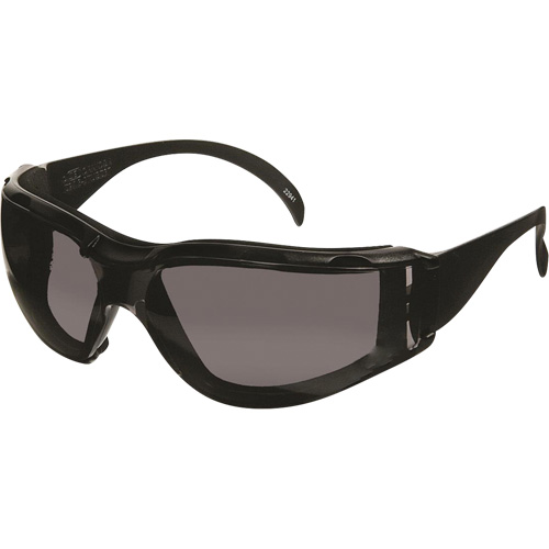 Lunettes de s&eacute;curit&eacute; CeeTec DX, Lentille Gris, Antibu&eacute;e/Anti-&eacute;gratignures, R&eacute;pond ou surpasse la norme CSA Z94.3 Cam Industrial
