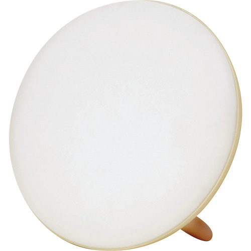 Lampe &agrave; luminoth&eacute;rapie pour le traitement de la d&eacute;pression saisonni&egrave;re Cam Industrial