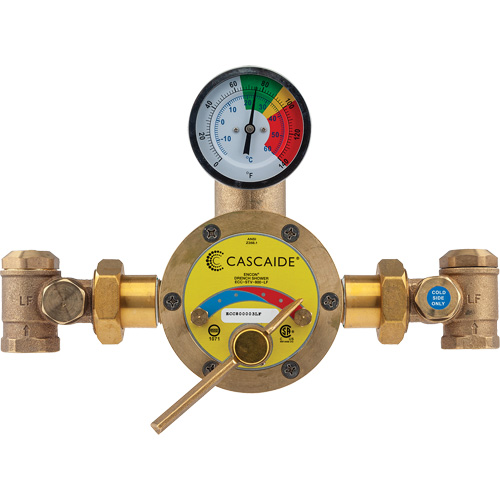 Mitigeur pour assemblage au groupe expos&eacute; d'une douche d'urgence simple ou combin&eacute;e, 56 gal./min Cam Industrial