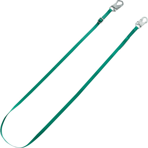 Longe de retenue Tieback V-Series, 10' Cam Industrial