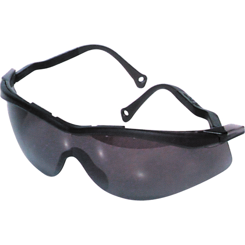 Lunettes de s&eacute;curit&eacute; North The Edge, Lentille Fum&eacute;e, Antibu&eacute;e/Anti-&eacute;gratignures, R&eacute;pond ou surpasse la norme CSA Z94.3 Cam Industrial