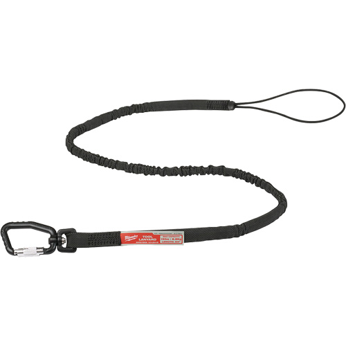 Extended Reach Locking Tool Lanyard, Bungee, Carabiner/Loop Cam Industrial