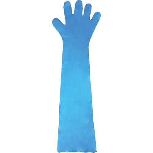 Disposable Gloves, Polyethylene, Powder-Free, Blue Cam Industrial
