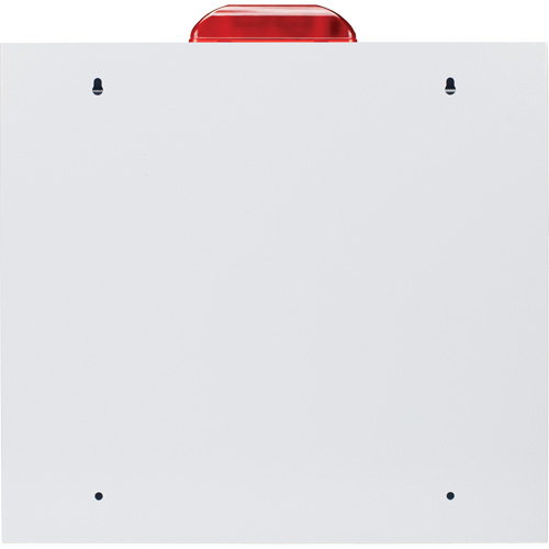 Standard Large AED Cabinet with Alarm & Strobe, Zoll AED Plus&reg;/Zoll AED 3/Cardio-Science/Physio-Control For, Non-Medical Cam Industrial