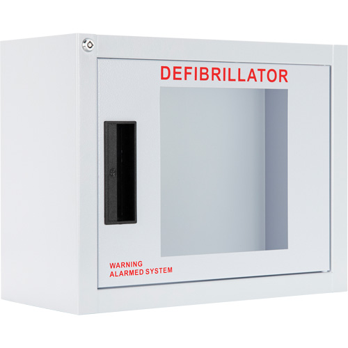 Standard Compact AED Cabinet with Alarm, Philips/Defibtech/Heartsine For, Non-Medical Cam Industrial