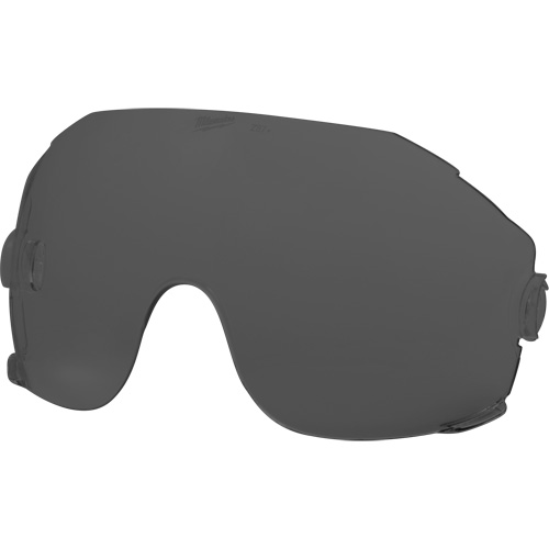 Eye Visor Replacement Lenses, Grey/Smoke Tint Cam Industrial