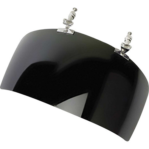 DP4 Series Faceshield Visor, IR 5.0 Tint Cam Industrial