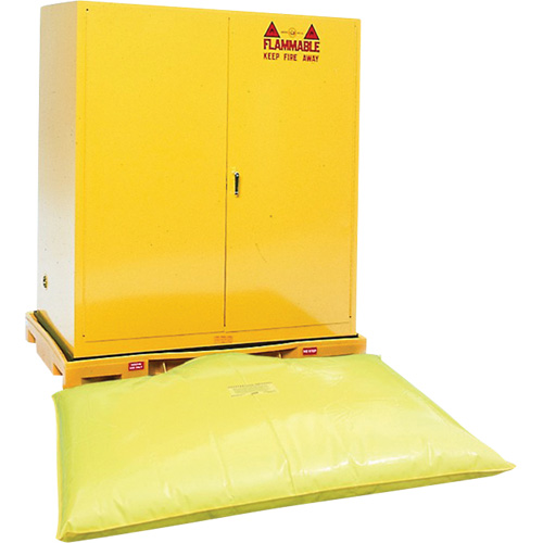 Double Drum Ultra-Safety Cabinet Bladder System, 63" lo x 38,5" la x 6,3" h, Capacit&eacute; de charge 3000 lb Cam Industrial