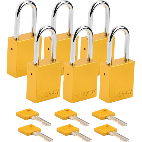 Cadenas de s&eacute;curit&eacute;, Cadenas de s&eacute;curit&eacute;, Cl&eacute;s identiques, Aluminium, Largeur de 1-1/2" Cam Industrial