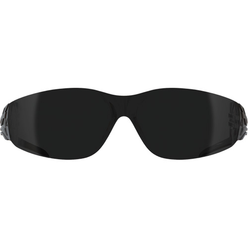 Viso Safety Glasses, Smoke Lens, Anti-Scratch, ANSI Z87+/MCEPS GL-PD 10-12/Meets/Exceeds CSA Z94.3 Cam Industrial