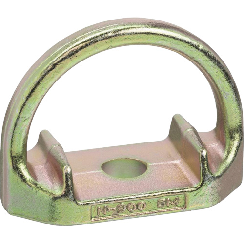CP-10011-2 Ancrage avec trou de 5/8", Boulonn&eacute;, Usage Permanent Cam Industrial