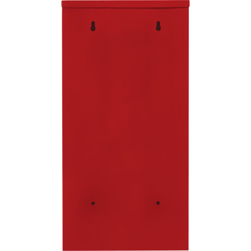 Armoires ext&eacute;rieures robustes pour extincteurs, 14" la x 28" h x 10" p Cam Industrial