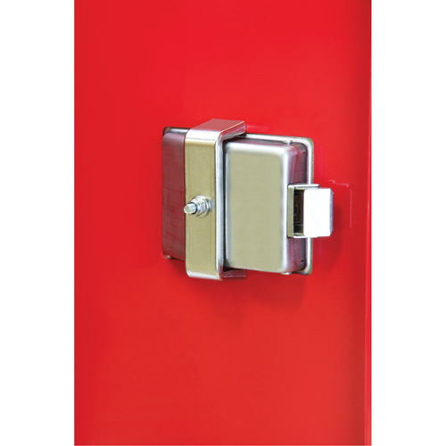 Armoires ext&eacute;rieures robustes pour extincteurs, 14" la x 28" h x 10" p Cam Industrial