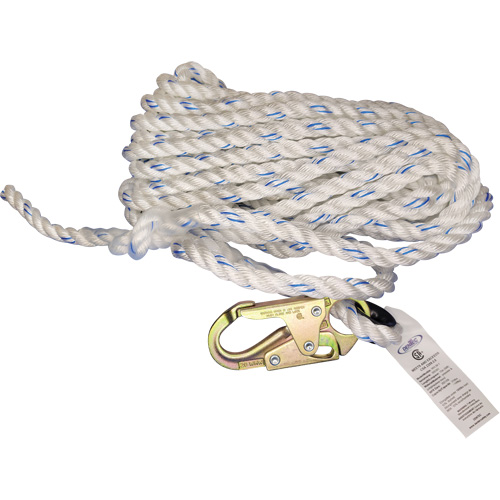Cordage de s&eacute;curit&eacute; verticale avec mousqueton de 3/4" et cosse cœur Cam Industrial