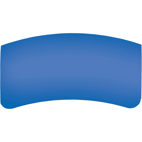 Bullard GenVX PETG Outer Lens Cam Industrial