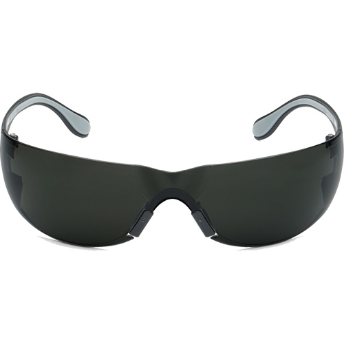 Lunettes de s&eacute;curit&eacute; Adapt Lite, Lentille Fum&eacute;e, Antibu&eacute;e/Anti-&eacute;gratignures, ANSI Z87+/R&eacute;pond ou surpasse la norme CSA Z94.3 Cam Industrial
