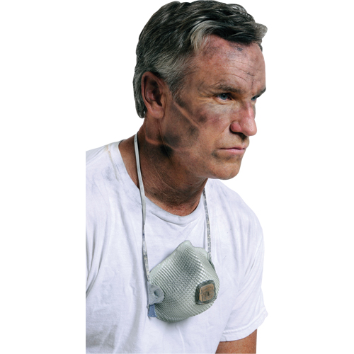 2700 Particulate Respirators, N95, NIOSH Certified, Large/Medium Cam Industrial