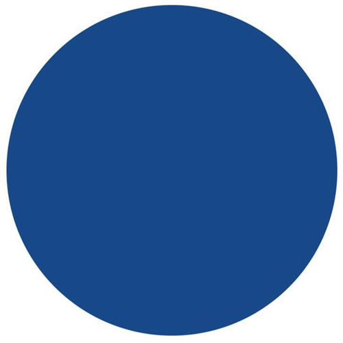 Round Write-On Labels, Circle, 1.5" L x 1.5" W, Blue Cam Industrial