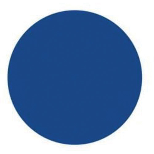 Round Write-On Labels, Circle, 3" L x 3" W, Blue Cam Industrial