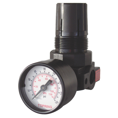 Mini r&eacute;gulateurs, 1/4" NPT, PSI max. de 165 PSI, Modulaire Cam Industrial