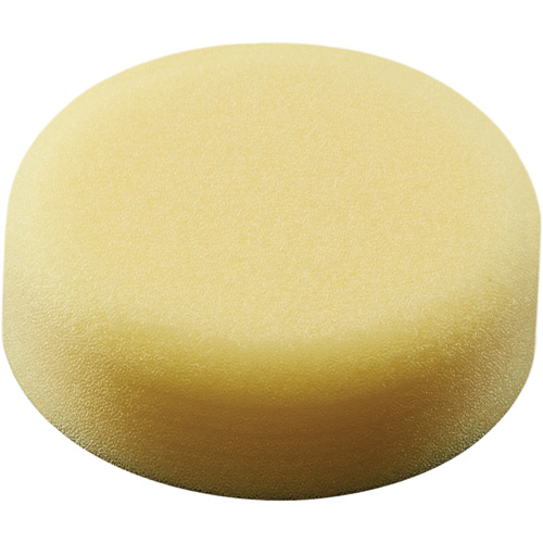 Polishing Pad, 3" Dia. Cam Industrial