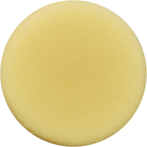 Polishing Pad, 3" Dia. Cam Industrial