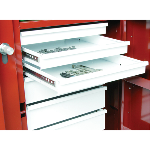 Rolling Work Bench, 49-7/8" W x 40-5/8" H x 26-7/8" D, 24.6 Cubic Feet Capacity Cam Industrial