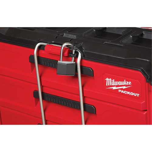 Packout 2-Drawer Tool Box, 16-1/3" x 14-1/3" x 22-1/5", Red Cam Industrial