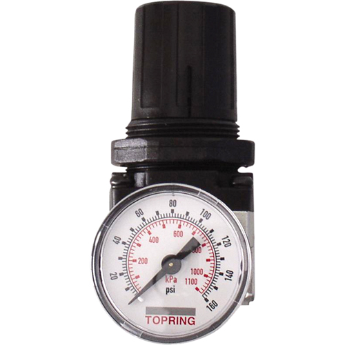 Regulators, 1/4" NPT, 150 PSI Max. PSI, Modular Cam Industrial