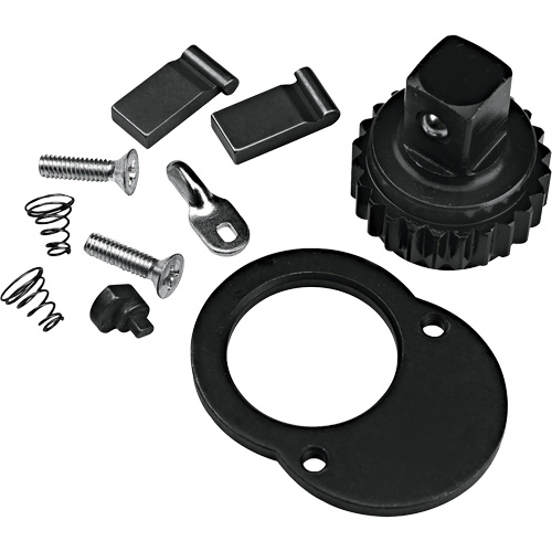 Ratchet Repair Kit Cam Industrial
