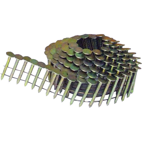 Clous &agrave; toiture &agrave; tige lisse en rouleaux &agrave; 15° Cam Industrial