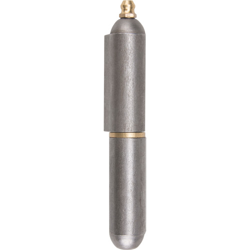 Weld-On Hinge, 0.63" Dia. x 3.937" L, Mild Steel w/Fixed Steel Pin Cam Industrial