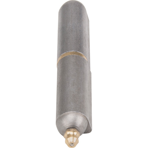 Weld-On Hinge, 0.63" Dia. x 3.937" L, Mild Steel w/Fixed Steel Pin Cam Industrial