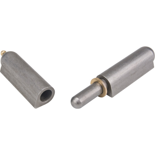 Weld-On Hinge, 0.787" Dia. x 5.906" L, Mild Steel w/Fixed Steel Pin Cam Industrial