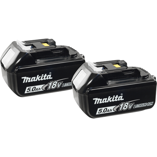Batteries, Lithium-Ion, 18 V, 5.0 A Cam Industrial