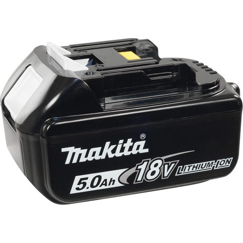 Battery, Lithium-Ion, 18 V, 5.0 A Cam Industrial