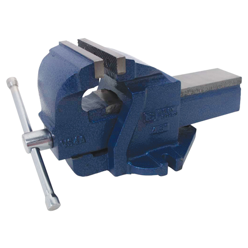 Ductile Iron Mechanics Bench Vise, 4-1/2" Jaw Width, 2-3/5" Throat Depth Cam Industrial