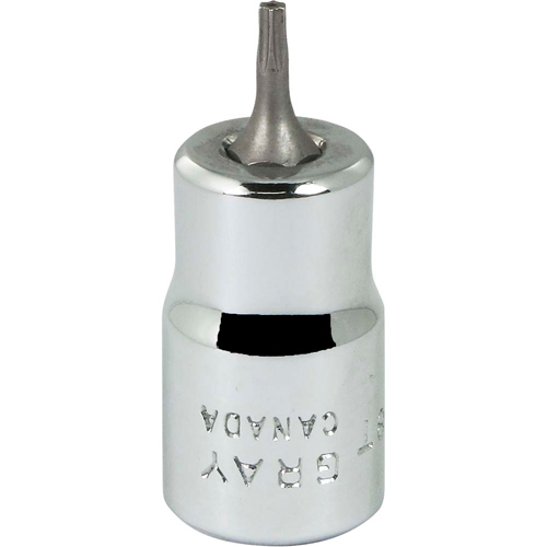 Douille &agrave; embout, Torx, T8 x 2-1/8" lo, Prise 3/8" Cam Industrial
