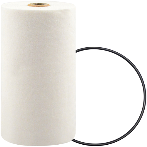 P7247 Filtre pour liquide de refroidissement &agrave; visser avec additif BTE Cam Industrial
