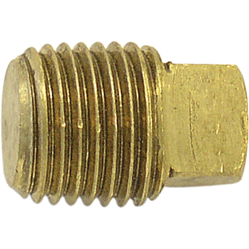Pipe Plugs (Square Head), 1/4" Dia., Brass Cam Industrial